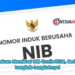 Panduan Membuat NIB Gratis 2026, Berikut Langkah-Langkahnya!