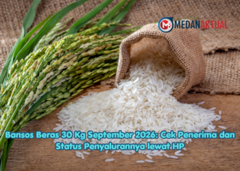 Bansos Beras 30 Kg September 2026: Cek Penerima dan Status Penyalurannya lewat HP