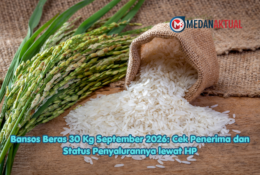 Bansos Beras 30 Kg September 2026: Cek Penerima dan Status Penyalurannya lewat HP