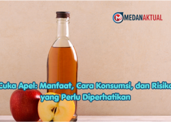Cuka Apel: Manfaat, Cara Konsumsi, dan Risiko yang Perlu Diperhatikan