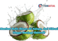 Manfaat Rutin Minum Air Kelapa, dari Hidrasi hingga Menjaga Elektrolit
