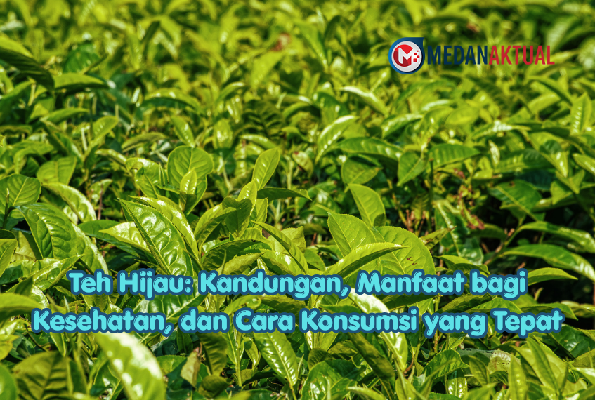 Teh Hijau: Kandungan, Manfaat bagi Kesehatan, dan Cara Konsumsi yang Tepat