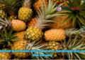 Manfaat Buah Nanas untuk Kesehatan, Kandungan Gizi, dan Efek Samping