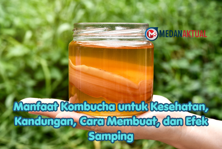 Manfaat Kombucha untuk Kesehatan, Kandungan, Cara Membuat, dan Efek Samping