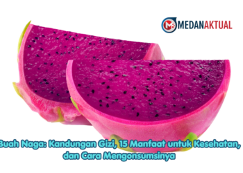 buah naga, manfaat buah naga, manfaat buah naga merah, kandungan buah naga, kandungan gizi buah naga, buah naga merah, buah naga untuk kesehatan, manfaat buah naga untuk kesehatan, khasiat buah naga, manfaat buah naga untuk pencernaan, manfaat buah naga untuk jantung, buah naga untuk diet, buah naga dan gula darah, buah naga untuk ibu hamil, buah naga untuk anak