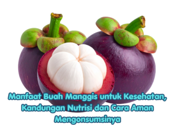 Manfaat Buah Manggis untuk Kesehatan, Kandungan Nutrisi dan Cara Aman Mengonsumsinya