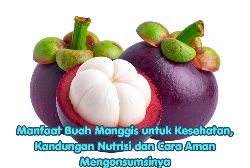 Manfaat Buah Manggis untuk Kesehatan, Kandungan Nutrisi dan Cara Aman Mengonsumsinya