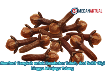 Manfaat Cengkeh untuk Kesehatan Tubuh, dari Sakit Gigi hingga Menjaga Tulang