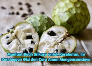 Manfaat Buah Srikaya untuk Kesehatan, Ini Kandungan Gizi dan Cara Aman Mengonsumsinya