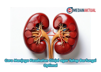 Cara Menjaga Kesehatan Ginjal agar Tetap Berfungsi Optimal