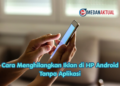 Cara Menghilangkan Iklan di HP Android Tanpa Aplikasi