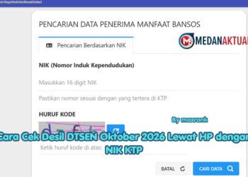 Cara Cek Desil DTSEN Oktober 2026 Lewat HP dengan NIK KTP