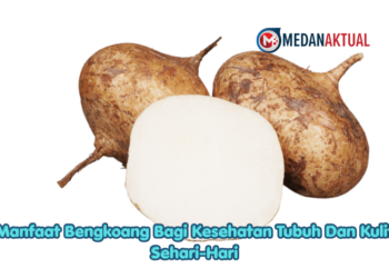 Manfaat Bengkoang Bagi Kesehatan Tubuh Dan Kulit Sehari-Hari