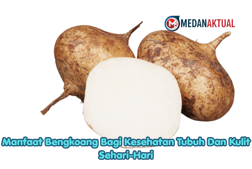 Manfaat Bengkoang Bagi Kesehatan Tubuh Dan Kulit Sehari-Hari