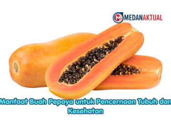 Manfaat Buah Pepaya untuk Pencernaan Tubuh dan Kesehatan
