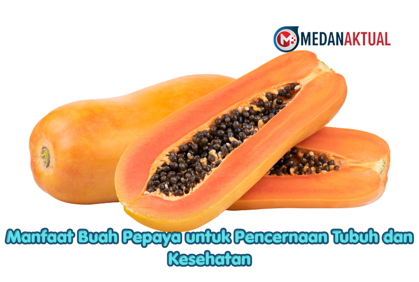 Manfaat Buah Pepaya untuk Pencernaan Tubuh dan Kesehatan