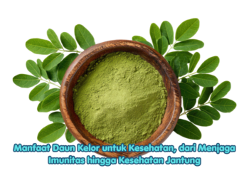 Manfaat Daun Kelor untuk Kesehatan, dari Menjaga Imunitas hingga Kesehatan Jantung