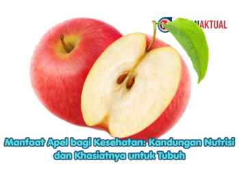 Manfaat Apel bagi Kesehatan: Kandungan Nutrisi dan Khasiatnya untuk Tubuh