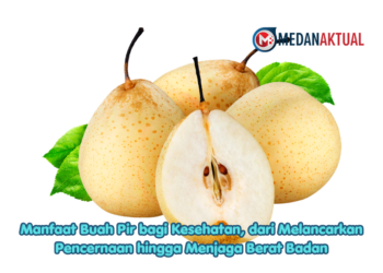 Manfaat Buah Pir bagi Kesehatan, dari Melancarkan Pencernaan hingga Menjaga Berat Badan