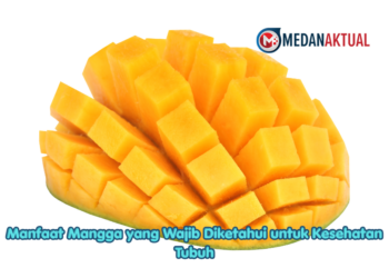 Manfaat Mangga yang Wajib Diketahui untuk Kesehatan Tubuh