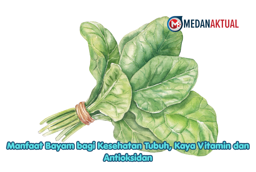 Manfaat Bayam bagi Kesehatan Tubuh, Kaya Vitamin dan Antioksidan