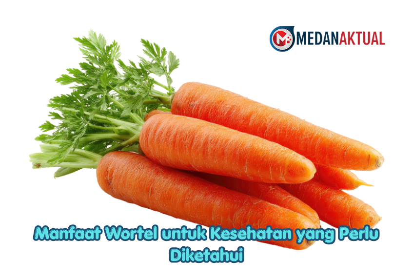 Manfaat Wortel untuk Kesehatan yang Perlu Diketahui