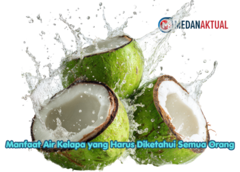 Manfaat Air Kelapa yang Harus Diketahui Semua Orang