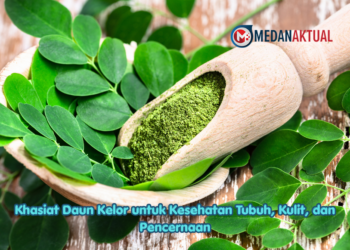 Khasiat Daun Kelor untuk Kesehatan Tubuh, Kulit, dan Pencernaan