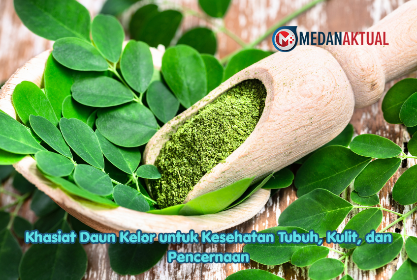 Khasiat Daun Kelor untuk Kesehatan Tubuh, Kulit, dan Pencernaan