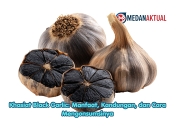 Khasiat Black Garlic: Manfaat, Kandungan, dan Cara Mengonsumsinya