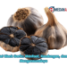 Khasiat Black Garlic: Manfaat, Kandungan, dan Cara Mengonsumsinya