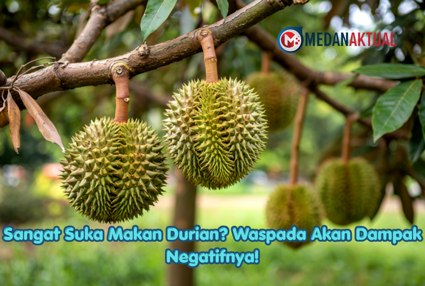 Sangat Suka Makan Durian? Waspada Akan Dampak Negatifnya!