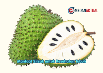 Manfaat Sirsak untuk Kesehatan Tubuh