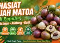 Khasiat Buah Matoa Asli Papua Untuk Imun, Jantung & Kulit
