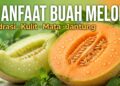 Manfaat Buah Melon Untuk Hidrasi, Kulit Dan Jantung