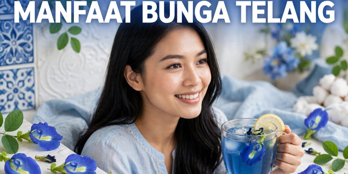 Manfaat Bunga Telang Sebagai Obat Herbal Alami Kaya Antioksidan