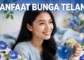 Manfaat Bunga Telang Sebagai Obat Herbal Alami Kaya Antioksidan