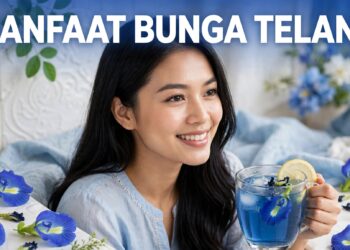 Manfaat Bunga Telang Sebagai Obat Herbal Alami Kaya Antioksidan