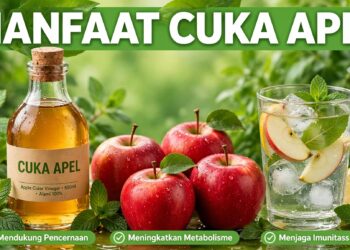 Mengenal Manfaat Cuka Apel Untuk Kesehatan Dan Cara Konsumsi Yang Benar