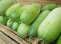 Manfaat Buah Kundur bagi Kesehatan Tubuh, dari Pencernaan hingga Kesehatan Kulit
